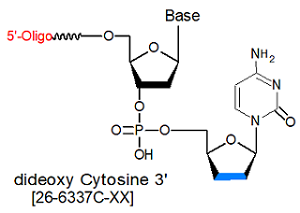 picture of dideoxy C-3'